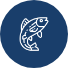 pablo-pescaderias-grupo-pescado-círculo-azul